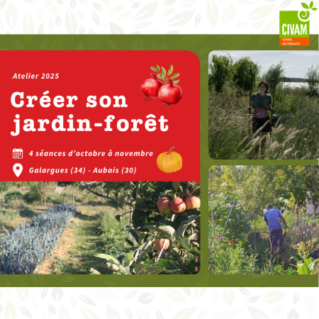 Atelier créer son jardin-forêt, cycle de 4 séances