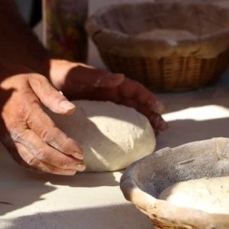 Webinaire - La sélection citoyenne des semences