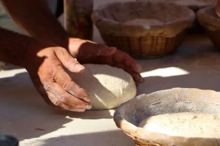 Webinaire - La sélection citoyenne des semences